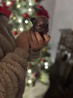 processed/8754e498-0d43-4869-9fd6-ca1893503a22/listing/8147b884-2e32-4164-b8c9-6464163ae7b9/c348c44c-e20c-491a-bb08-b849251c989b