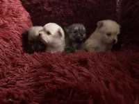 processed/8754e498-0d43-4869-9fd6-ca1893503a22/listing/8147b884-2e32-4164-b8c9-6464163ae7b9/f2041387-002a-45d6-8e43-de0273c841cc