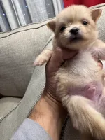 processed/8754e498-0d43-4869-9fd6-ca1893503a22/listing/c60158ad-e92a-49cc-adb8-2b57da4e18a0/41c427d2-9e65-44e0-8aee-10b5dfc54bd3