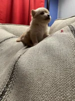 processed/8754e498-0d43-4869-9fd6-ca1893503a22/listing/c60158ad-e92a-49cc-adb8-2b57da4e18a0/7d664909-9929-4d9a-b862-5a6125258c53