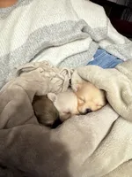 processed/8754e498-0d43-4869-9fd6-ca1893503a22/listing/c60158ad-e92a-49cc-adb8-2b57da4e18a0/7f0e8f44-1925-4ded-b335-82f54566c030