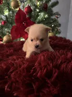 processed/8754e498-0d43-4869-9fd6-ca1893503a22/listing/c60158ad-e92a-49cc-adb8-2b57da4e18a0/bb68f9b0-6179-450f-b88a-685a58cce6b1