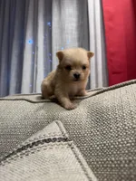 processed/8754e498-0d43-4869-9fd6-ca1893503a22/listing/c60158ad-e92a-49cc-adb8-2b57da4e18a0/e2f77155-f855-44a3-9568-9a00d9048a88