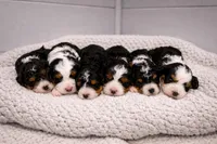 processed/876264a9-74e5-441f-95b3-fe152f9eef13/facility/bacc9add-4a6f-4cb9-8250-29193850ad08