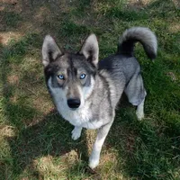 processed/8764be57-5468-45dc-bca8-42812d95c404/facility/07440205-3f5e-41fd-845c-3cb0f24551ef