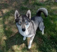 processed/8764be57-5468-45dc-bca8-42812d95c404/facility/07440205-3f5e-41fd-845c-3cb0f24551ef