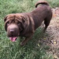 processed/8764be57-5468-45dc-bca8-42812d95c404/facility/0ff3328d-0a97-45f4-8e47-642252db3c21