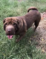 processed/8764be57-5468-45dc-bca8-42812d95c404/facility/0ff3328d-0a97-45f4-8e47-642252db3c21