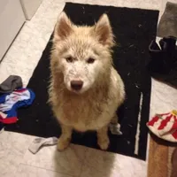 processed/8764be57-5468-45dc-bca8-42812d95c404/facility/876a10e6-e9a5-444f-9518-bf7f51dfd70a