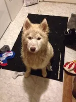 processed/8764be57-5468-45dc-bca8-42812d95c404/facility/876a10e6-e9a5-444f-9518-bf7f51dfd70a