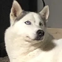 processed/8764be57-5468-45dc-bca8-42812d95c404/facility/9d8dd248-f930-4203-a434-afd348284b73