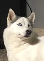 processed/8764be57-5468-45dc-bca8-42812d95c404/facility/9d8dd248-f930-4203-a434-afd348284b73