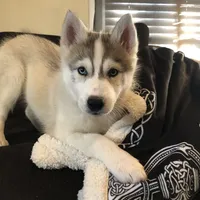 processed/8764be57-5468-45dc-bca8-42812d95c404/facility/f71f52b7-d52c-4362-a2a1-a47f0ad79e2e