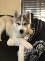 processed/8764be57-5468-45dc-bca8-42812d95c404/facility/f71f52b7-d52c-4362-a2a1-a47f0ad79e2e