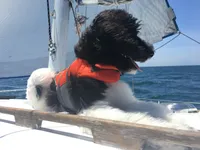 processed/8764db75-3660-4560-83ee-5fc57f2ae077/facility/0d71f834-7dad-41d1-8a02-00ad28b385dd