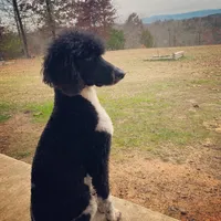 processed/8764db75-3660-4560-83ee-5fc57f2ae077/facility/3a4501e9-528c-4238-9324-7b1c4c2dee79