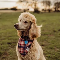 processed/8764db75-3660-4560-83ee-5fc57f2ae077/facility/76cf01c5-aa3e-4a91-ac78-cba77e916bce