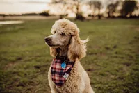 processed/8764db75-3660-4560-83ee-5fc57f2ae077/facility/76cf01c5-aa3e-4a91-ac78-cba77e916bce