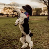 processed/8764db75-3660-4560-83ee-5fc57f2ae077/facility/98f201f0-fd91-48b2-a96c-54ef2d6362ad