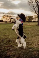 processed/8764db75-3660-4560-83ee-5fc57f2ae077/facility/98f201f0-fd91-48b2-a96c-54ef2d6362ad