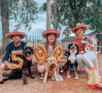 processed/8764db75-3660-4560-83ee-5fc57f2ae077/facility/a4d03c0e-295a-4676-b703-5b23425cf60a