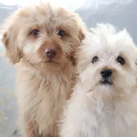 processed/8764db75-3660-4560-83ee-5fc57f2ae077/facility/d31e7548-76c9-4815-9158-e51132105050