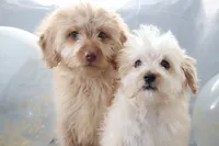 processed/8764db75-3660-4560-83ee-5fc57f2ae077/facility/d31e7548-76c9-4815-9158-e51132105050