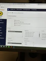 Ava, a female Yorkshire Terrier for sale in Elkin, NC – Photo 6 of 6