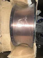 Ava, a female Yorkshire Terrier for sale in Elkin, NC – Photo 3 of 6