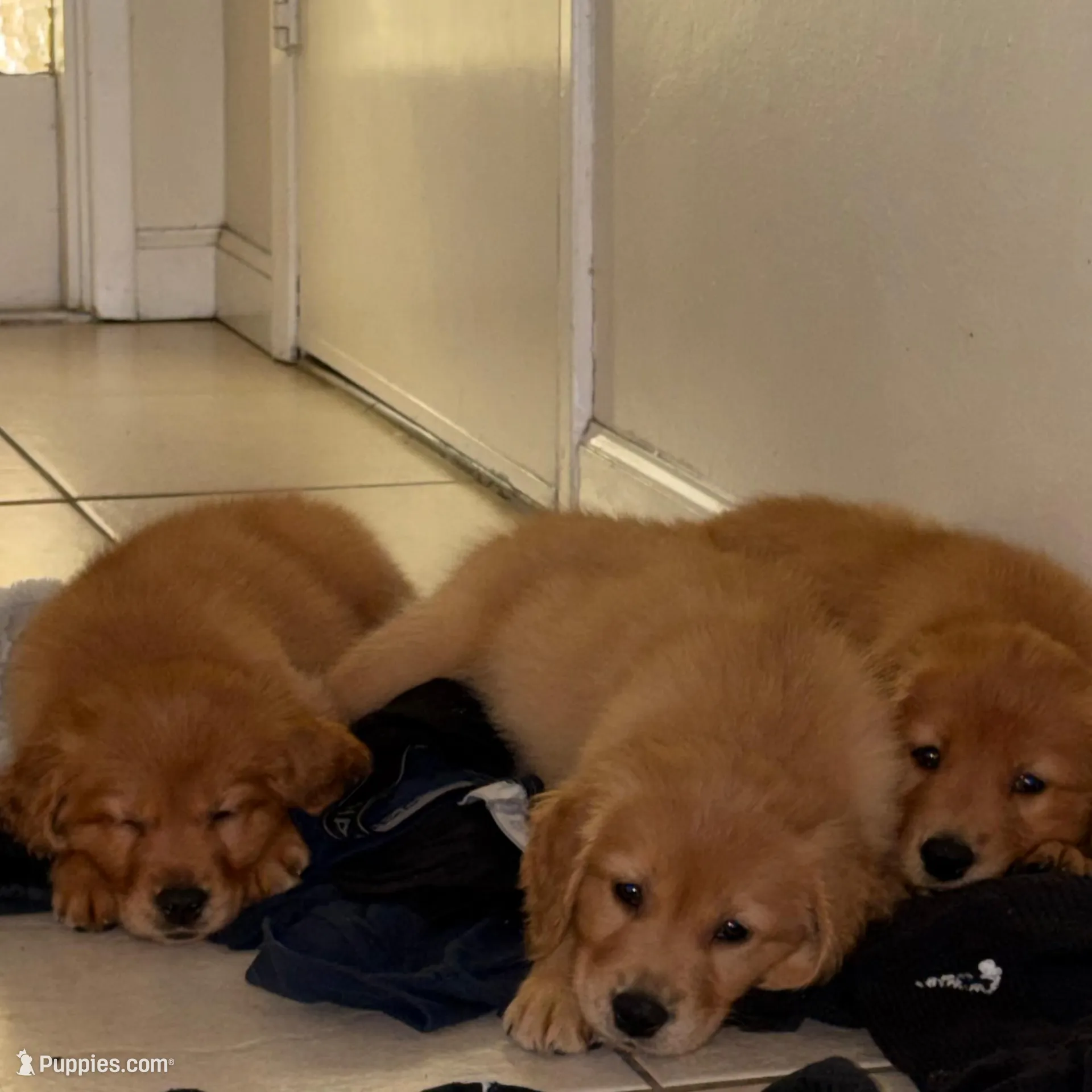 processed/8770da37-6a76-4d76-b76a-559686ce5153/facility/706f8208-6476-44d5-9bb9-6f0926a186c8