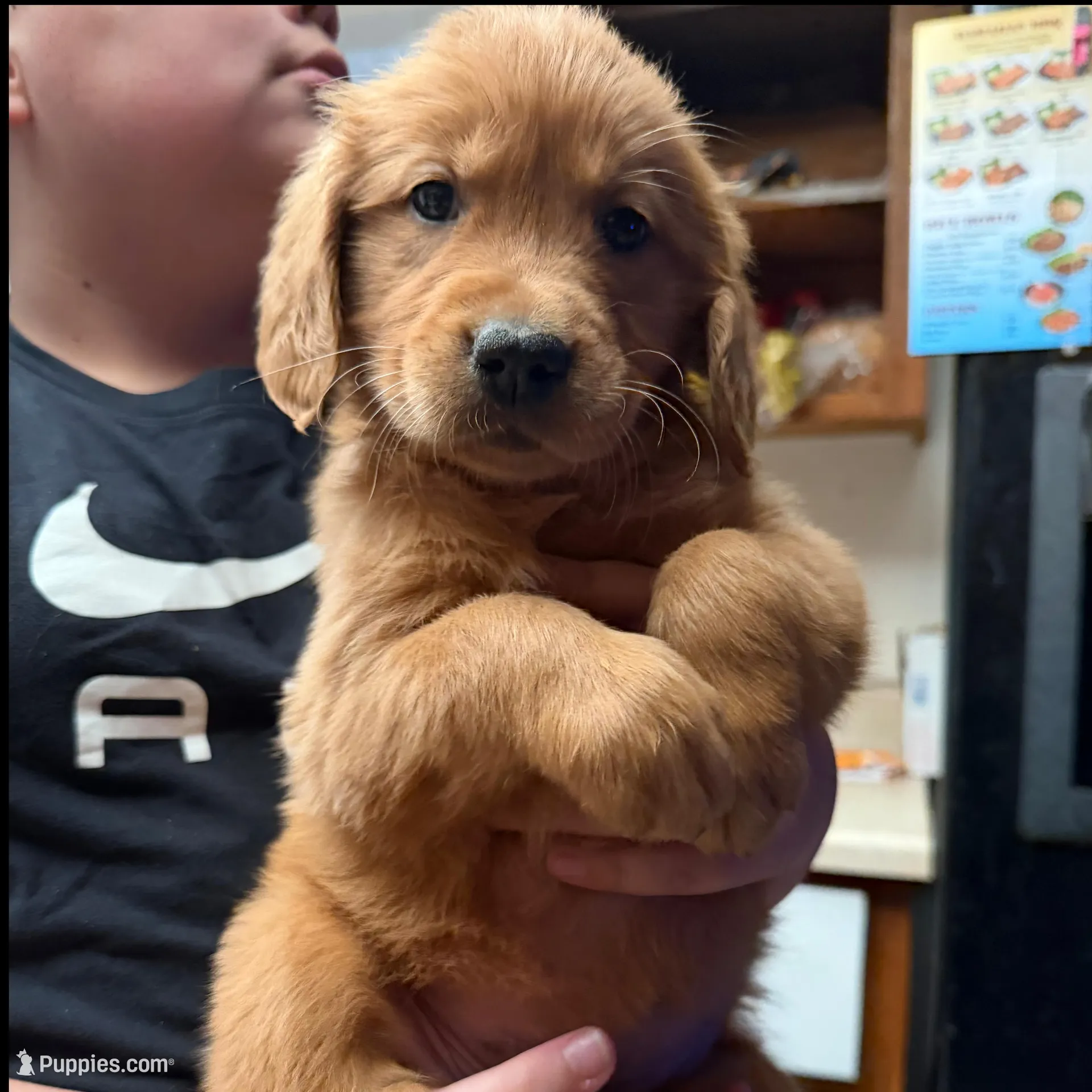 processed/8770da37-6a76-4d76-b76a-559686ce5153/facility/7c827b8d-657b-469f-a9ef-7e009353408d