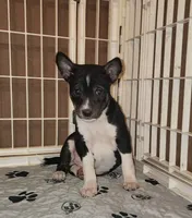 processed/87735d5a-eb6c-4814-84fd-4c693175f4f2/listing/2039bd0e-1593-423b-b6ff-830b0172c92e/77a72fc1-a61e-4d6f-9660-a607232ef533