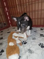 processed/87735d5a-eb6c-4814-84fd-4c693175f4f2/listing/2039bd0e-1593-423b-b6ff-830b0172c92e/ac28adca-77f9-4191-b353-176ad962e526