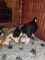 processed/87735d5a-eb6c-4814-84fd-4c693175f4f2/listing/2039bd0e-1593-423b-b6ff-830b0172c92e/e1c38bf1-de00-41d3-8c36-30c7cae90cf5