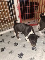 processed/87735d5a-eb6c-4814-84fd-4c693175f4f2/listing/2039bd0e-1593-423b-b6ff-830b0172c92e/f696ad37-4362-4237-91b7-89a38e49ad41