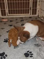 processed/87735d5a-eb6c-4814-84fd-4c693175f4f2/listing/4917f23c-84ce-4fb2-a0f8-49429fbed88e/3e25ced0-7276-43e3-8aed-afd6fea4ce6b