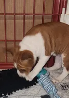 processed/87735d5a-eb6c-4814-84fd-4c693175f4f2/listing/4917f23c-84ce-4fb2-a0f8-49429fbed88e/78a73fda-72d4-4ed8-b7bd-92d702b085c0