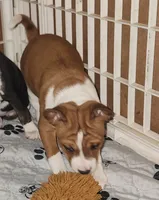 processed/87735d5a-eb6c-4814-84fd-4c693175f4f2/listing/4917f23c-84ce-4fb2-a0f8-49429fbed88e/c5aaad47-9407-41d8-84cb-bab727d5b484