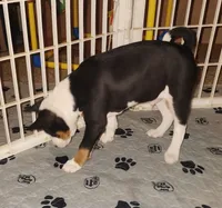 processed/87735d5a-eb6c-4814-84fd-4c693175f4f2/listing/4db949b1-8b73-47e5-a38f-1c3499f4f3bd/19847951-1da4-4bfd-ba41-37bec5c825b8