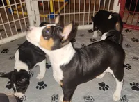 processed/87735d5a-eb6c-4814-84fd-4c693175f4f2/listing/4db949b1-8b73-47e5-a38f-1c3499f4f3bd/86e57ced-9009-429c-84ae-e46e1be0e4b6