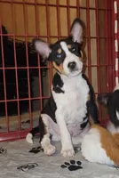 processed/87735d5a-eb6c-4814-84fd-4c693175f4f2/listing/4db949b1-8b73-47e5-a38f-1c3499f4f3bd/9452932f-a013-4fac-aeab-51b3fabe507d