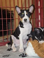 processed/87735d5a-eb6c-4814-84fd-4c693175f4f2/listing/4db949b1-8b73-47e5-a38f-1c3499f4f3bd/9b0afed2-4d25-4410-b4c6-31c5e5a4fe93