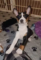 processed/87735d5a-eb6c-4814-84fd-4c693175f4f2/listing/4db949b1-8b73-47e5-a38f-1c3499f4f3bd/b9a14774-26be-4a75-a83f-8ee85446226e