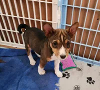 processed/87735d5a-eb6c-4814-84fd-4c693175f4f2/listing/c05cf85d-4aab-4818-b4d2-0e83e5942e0e/3760bad6-a27a-4972-8b22-8321dca07001