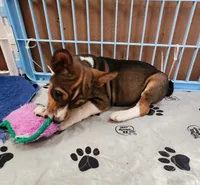 processed/87735d5a-eb6c-4814-84fd-4c693175f4f2/listing/c05cf85d-4aab-4818-b4d2-0e83e5942e0e/43785e97-93ae-49c1-8ec7-51ecea923ce0