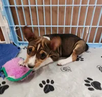 processed/87735d5a-eb6c-4814-84fd-4c693175f4f2/listing/c05cf85d-4aab-4818-b4d2-0e83e5942e0e/60808e5a-bf49-4819-86fd-24ea32296439