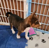 processed/87735d5a-eb6c-4814-84fd-4c693175f4f2/listing/c05cf85d-4aab-4818-b4d2-0e83e5942e0e/9b7845d1-f612-4e12-a8a2-8768aba815e1