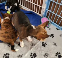 processed/87735d5a-eb6c-4814-84fd-4c693175f4f2/listing/c05cf85d-4aab-4818-b4d2-0e83e5942e0e/c3011e26-145a-4e49-9211-98fb8f3c9669