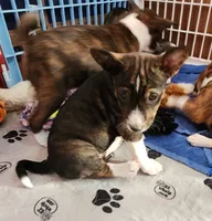 processed/87735d5a-eb6c-4814-84fd-4c693175f4f2/listing/cf1147da-f304-4c5a-b0cf-0f15ae3e010f/3187c5df-104d-4326-9c6e-ff54d0861ca0