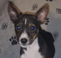 processed/87735d5a-eb6c-4814-84fd-4c693175f4f2/listing/cf1147da-f304-4c5a-b0cf-0f15ae3e010f/8e3ffd0a-596a-486c-91cc-3d8405837ed3